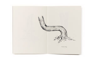 TREES OF AMERICA